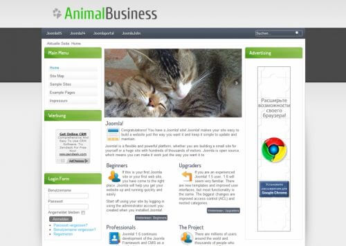 AnimalBusiness. Шаблон сайта о животных для Joomla 2.5