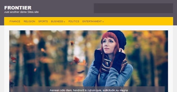 Шаблон Wordpress - Frontier