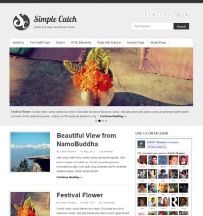 Шаблон WordPress - Simple Catch