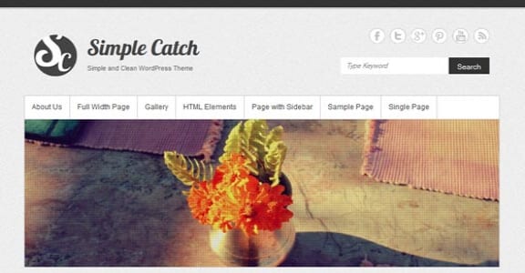 Шаблон Wordpress - Simple Catch