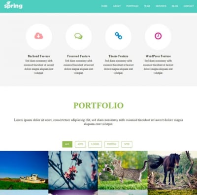 Шаблон WordPress - Spring