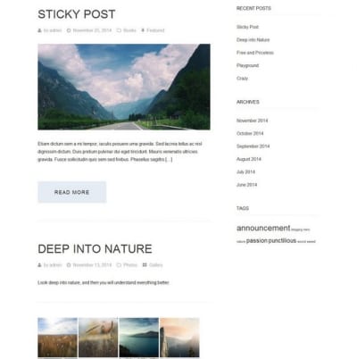 Шаблон WordPress - Aileron