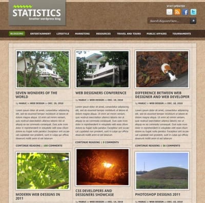 Шаблон WordPress - Statistics