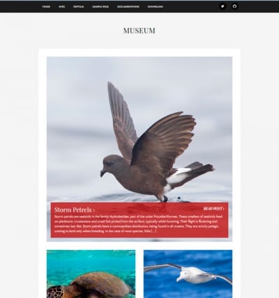 Шаблон WordPress - Museum