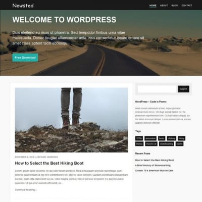 Шаблон WordPress - Newsted