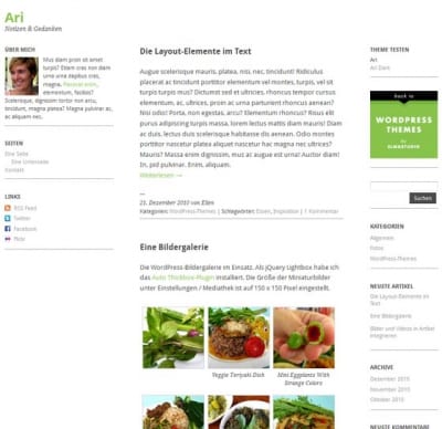 Шаблон WordPress - Ari