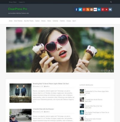 Шаблон WordPress - CleanPress