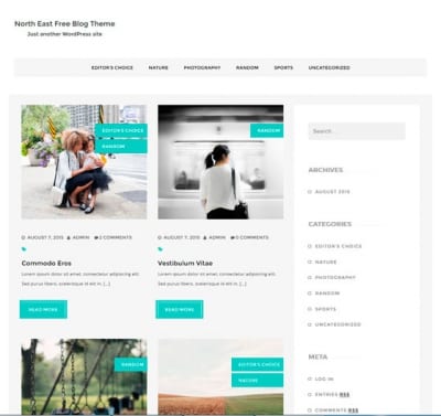 Шаблон WordPress - North East