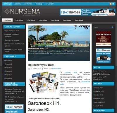 Шаблон WordPress - NURSENA