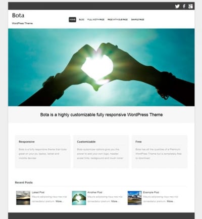 Шаблон WordPress - Bota