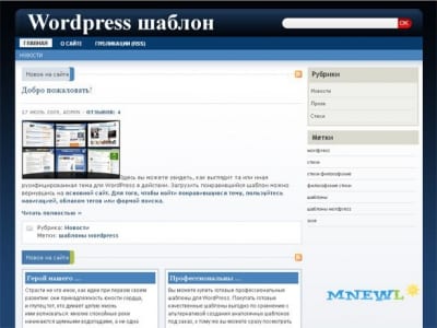 Шаблон WordPress - Review