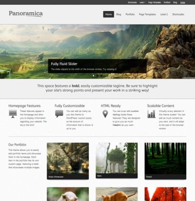 Шаблон WordPress - Panoramica