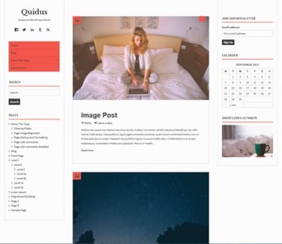 Шаблон WordPress - Quidus