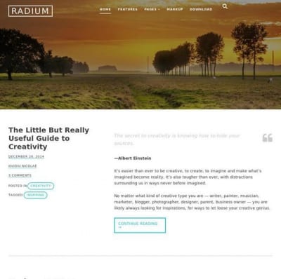 Шаблон WordPress - Radium