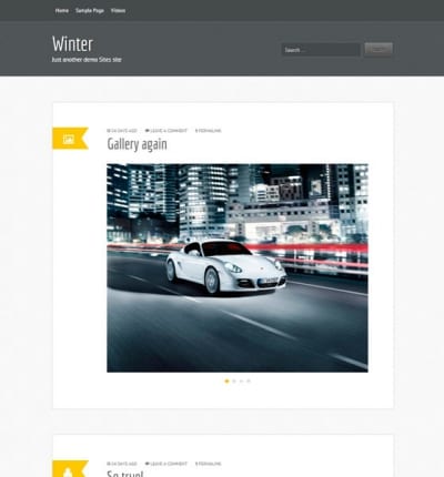 Шаблон WordPress - Winter