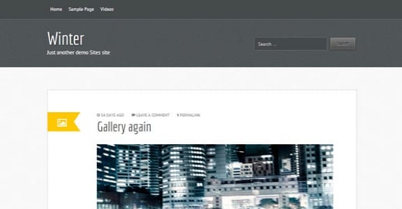 Шаблон Wordpress - Winter