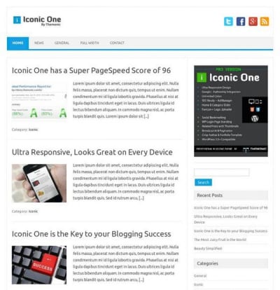 Шаблон WordPress - Iconic One