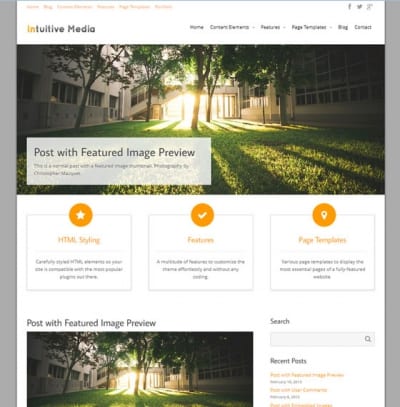 Шаблон WordPress - Intuition