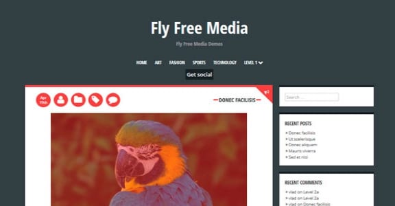 Шаблон Wordpress - Crangasi