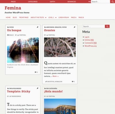 Шаблон WordPress - Femina