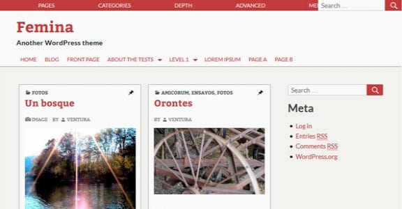 Шаблон Wordpress - Femina
