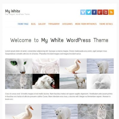 Шаблон WordPress - My white