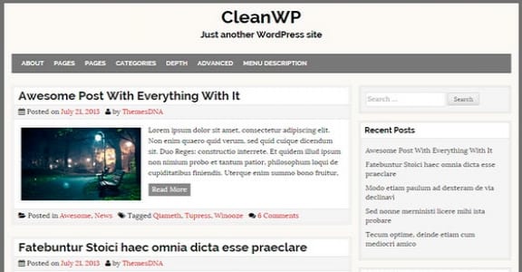 Шаблон Wordpress - CleanWP