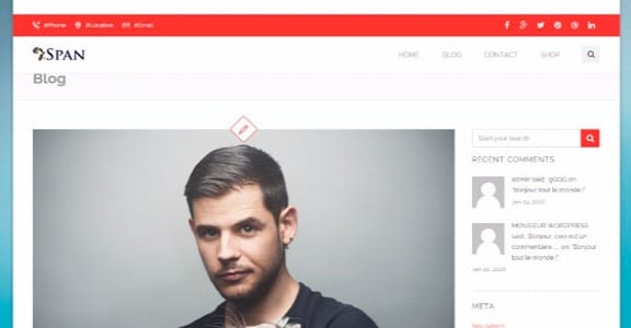 Шаблон Wordpress - Span