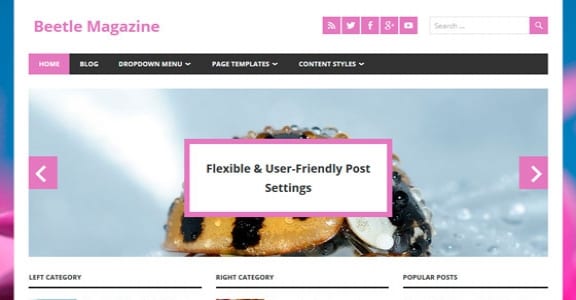 Шаблон Wordpress - Beetle