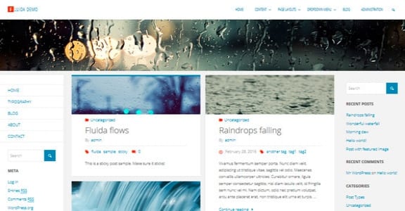 Шаблон Wordpress - Fluida