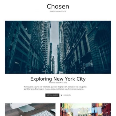 Шаблон WordPress - Chosen