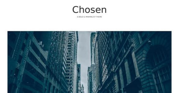 Шаблон Wordpress - Chosen
