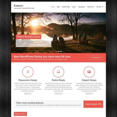 Шаблон WordPress - Esteem