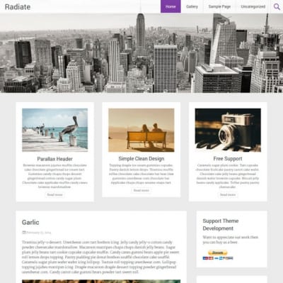 Шаблон WordPress - Radiate