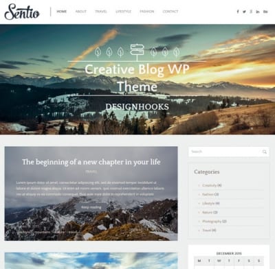 Шаблон WordPress - Sentio