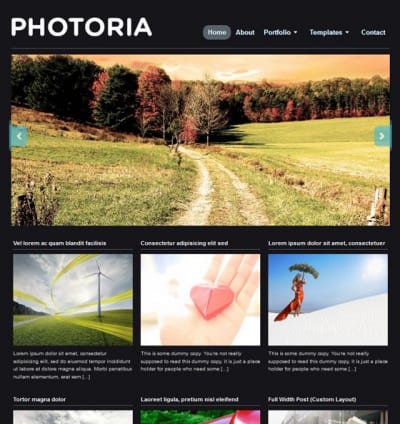 Шаблон WordPress - Photoria