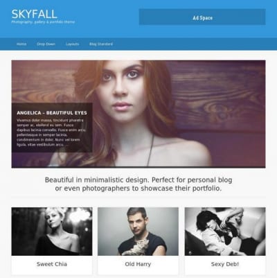 Шаблон WordPress - Skyfall