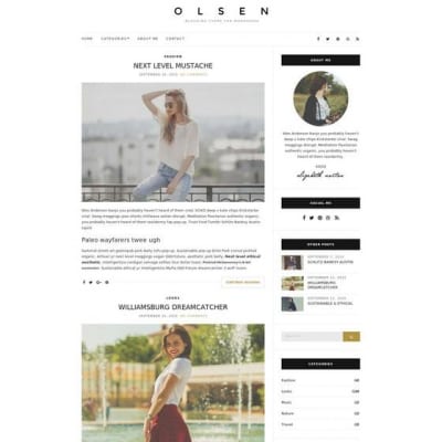 Шаблон WordPress - Olsen Light
