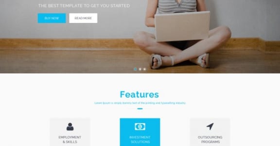 Шаблон Wordpress - Avis Lite