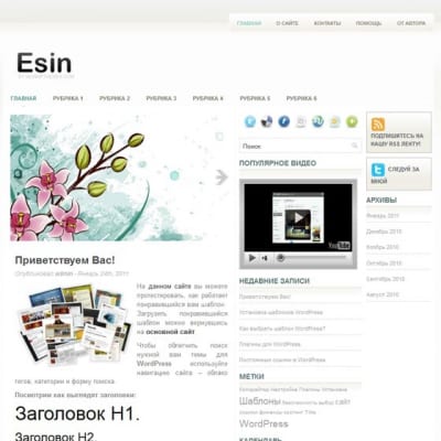 Шаблон WordPress - Esin