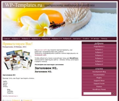 Шаблон WordPress - Hair Care