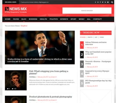 Шаблон WordPress - News Mix Lite