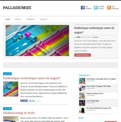 Шаблон WordPress - Palladiumize
