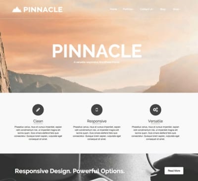 Шаблон WordPress - Pinnacle