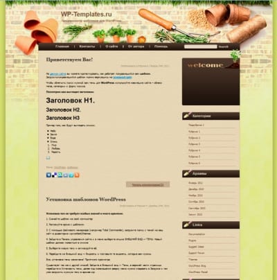 Шаблон WordPress - Sight And Heart Enjoy