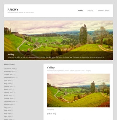 Шаблон WordPress - Archy