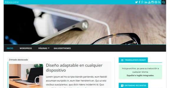 Шаблон Wordpress - Ribosome