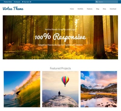 Шаблон WordPress - Virtue