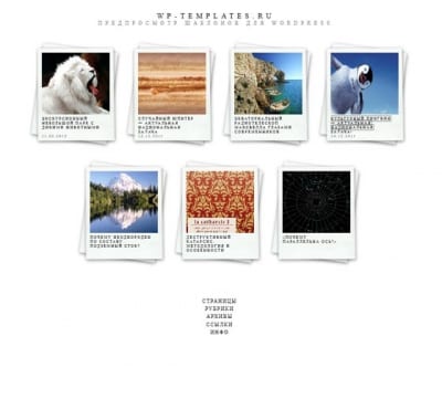 Шаблон WordPress - Polaroids