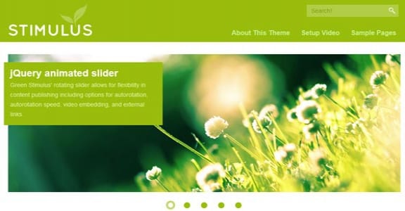 Шаблон Wordpress - Green Stimulus 3цв.сх.